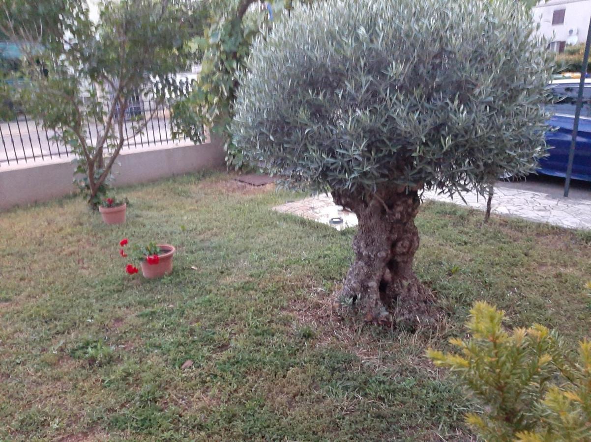 Silvano Guest house Rovinj